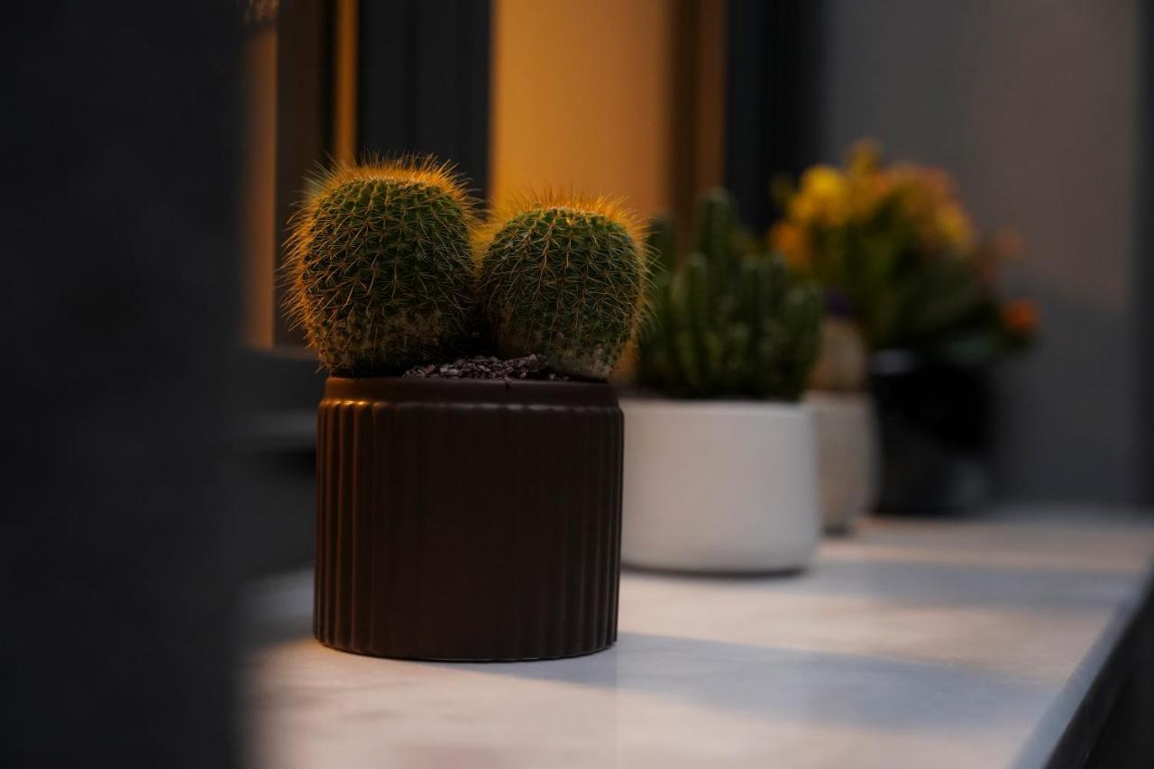 Quattro Luxury Apartments Tríkala Eksteriør billede
